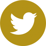 icon_twitter