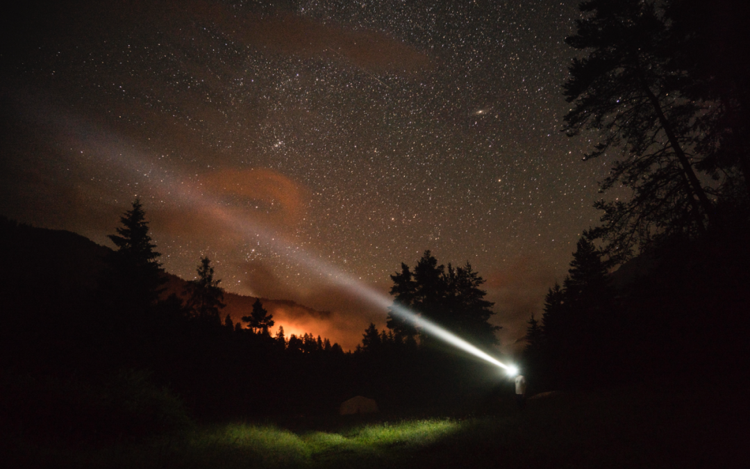 Zeltager 12.07.2016