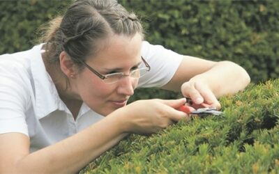 Themen von Frauen für Frauen „Abschied vom Perfektionismus“ vom 30. April 2022