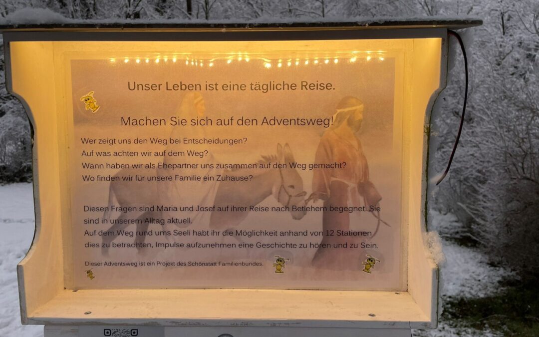 Adventsweg in Hochdorf im Dezember 2024